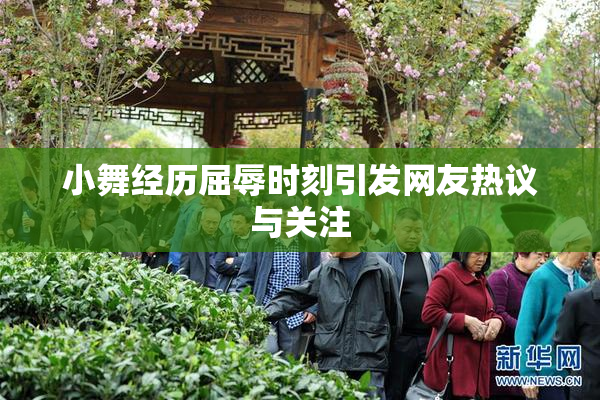 小舞经历屈辱时刻引发网友热议与关注