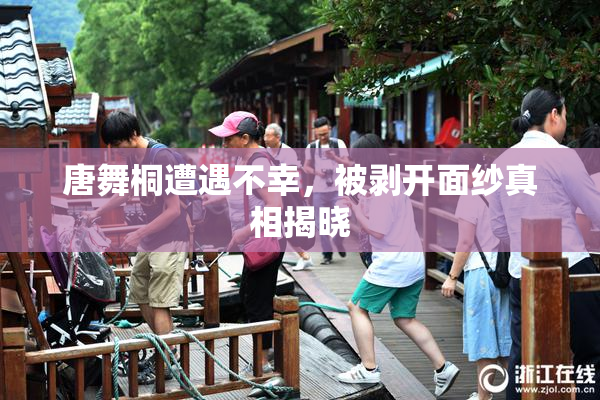 唐舞桐遭遇不幸，被剥开面纱真相揭晓