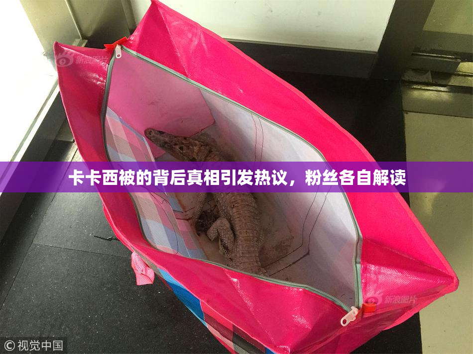 卡卡西被的背后真相引发热议，粉丝各自解读