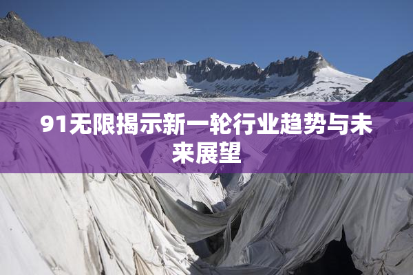 91无限揭示新一轮行业趋势与未来展望