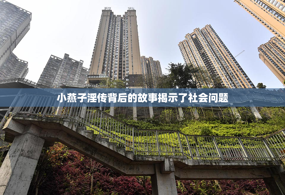 小燕子淫传背后的故事揭示了社会问题