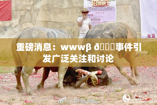 重磅消息：wwwβ 👙事件引发广泛关注和讨论
