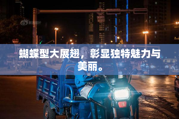 蝴蝶型大展翅，彰显独特魅力与美丽。