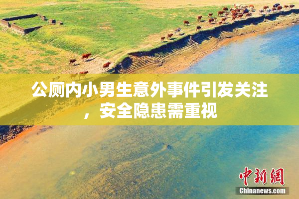公厕内小男生意外事件引发关注，安全隐患需重视