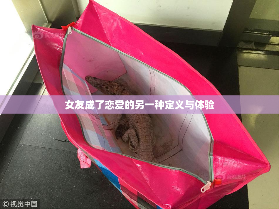 女友成了恋爱的另一种定义与体验
