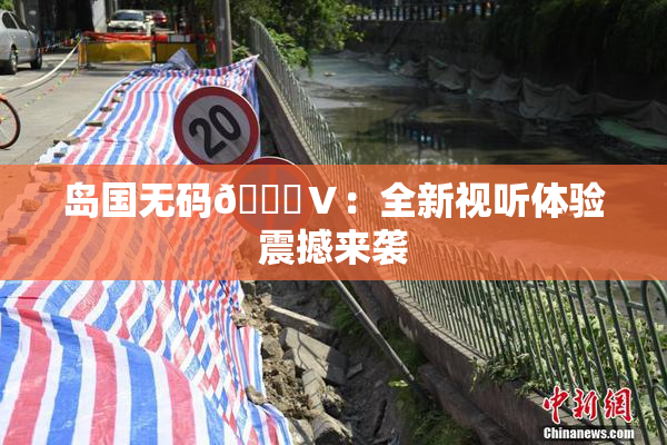 岛国无码🈚Ⅴ：全新视听体验震撼来袭