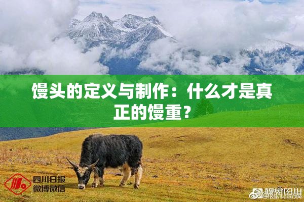 馒头的定义与制作：什么才是真正的馒重？