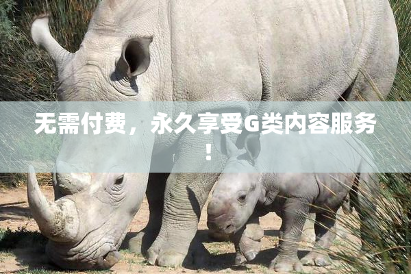 无需付费，永久享受G类内容服务！