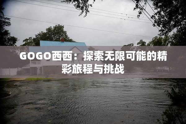 GOGO西西：探索无限可能的精彩旅程与挑战