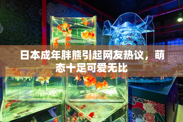日本成年胖熊引起网友热议，萌态十足可爱无比