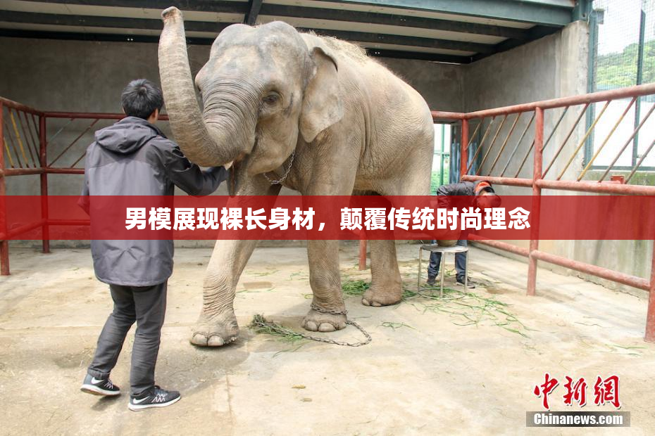 男模展现裸长身材，颠覆传统时尚理念
