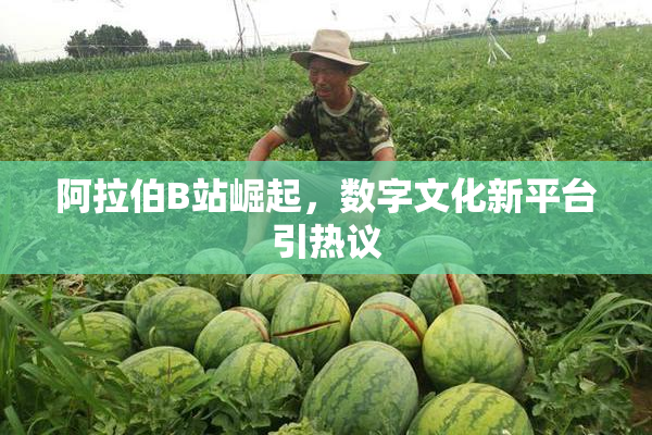 阿拉伯B站崛起，数字文化新平台引热议