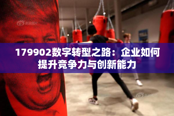 179902数字转型之路：企业如何提升竞争力与创新能力