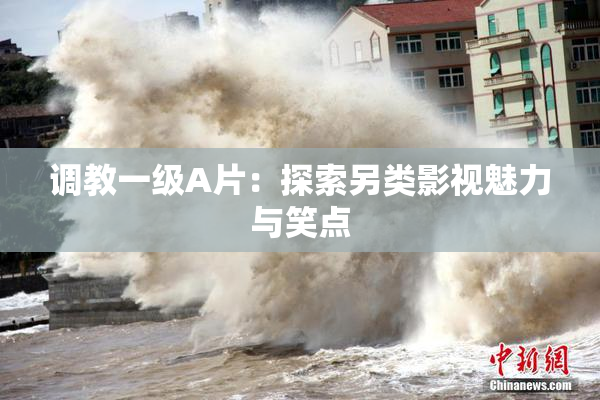 调教一级A片：探索另类影视魅力与笑点