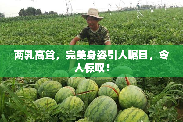 两乳高耸，完美身姿引人瞩目，令人惊叹！