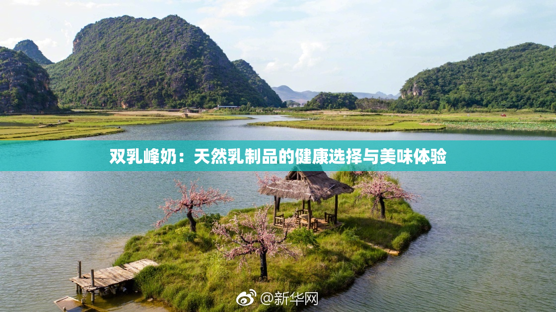 双乳峰奶：天然乳制品的健康选择与美味体验