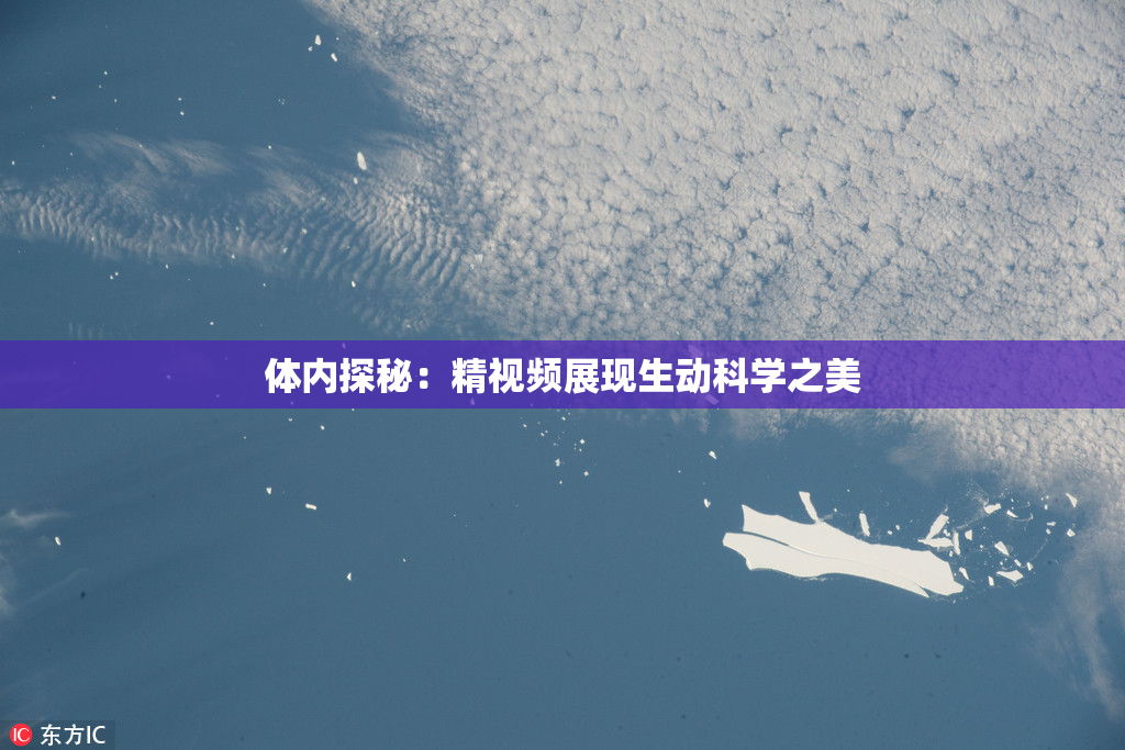 体内探秘：精视频展现生动科学之美