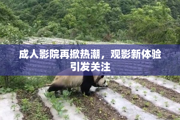 成人影院再掀热潮，观影新体验引发关注