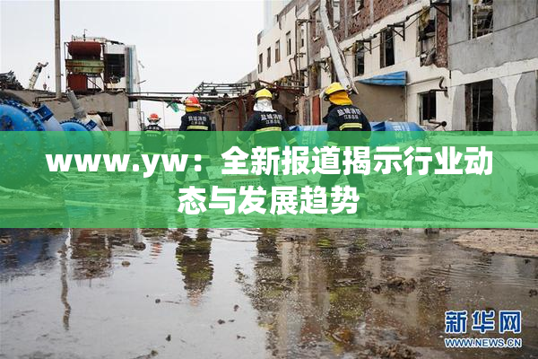 www.yw：全新报道揭示行业动态与发展趋势