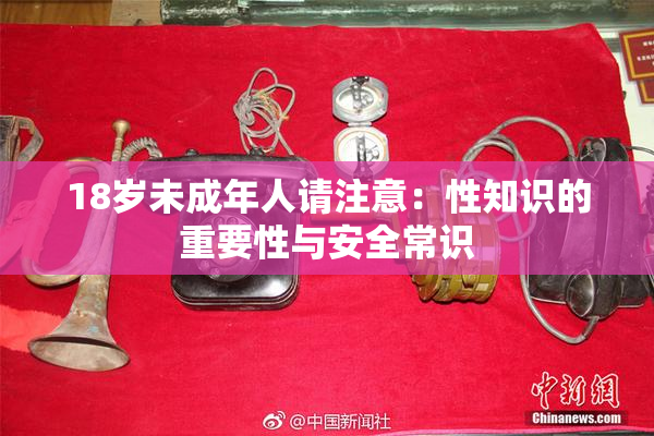 18岁未成年人请注意：性知识的重要性与安全常识
