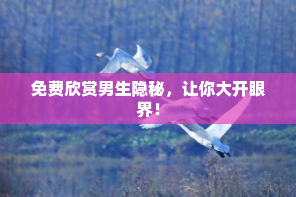 免费欣赏男生隐秘，让你大开眼界！