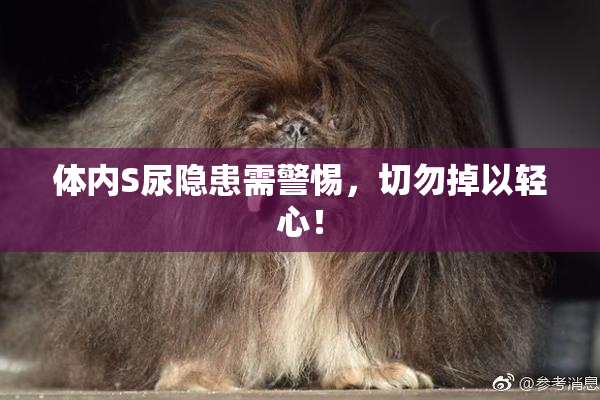 体内S尿隐患需警惕，切勿掉以轻心！