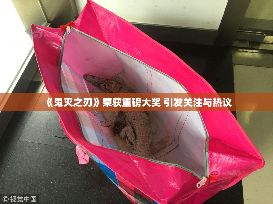 《鬼灭之刃》荣获重磅大奖 引发关注与热议