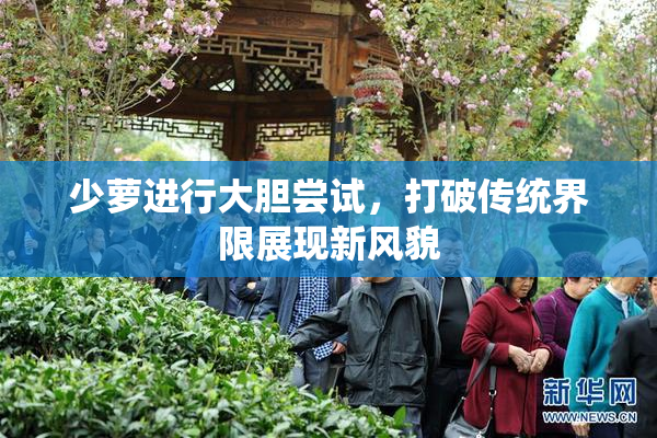少萝进行大胆尝试，打破传统界限展现新风貌