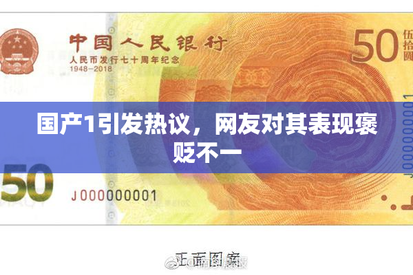 国产1引发热议，网友对其表现褒贬不一