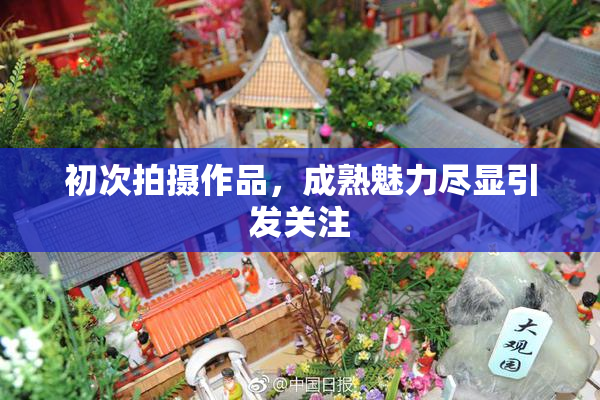 初次拍摄作品，成熟魅力尽显引发关注