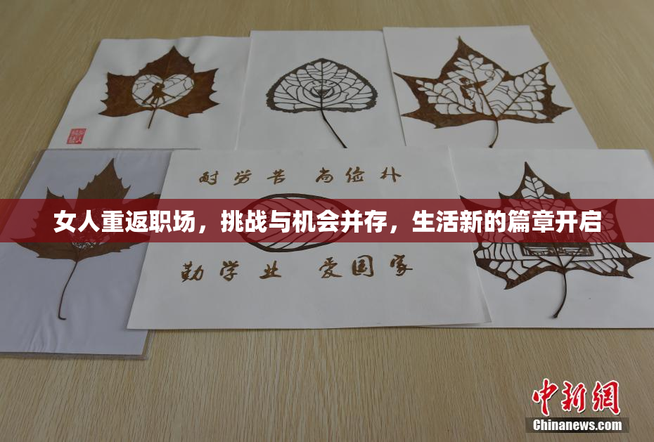 女人重返职场，挑战与机会并存，生活新的篇章开启