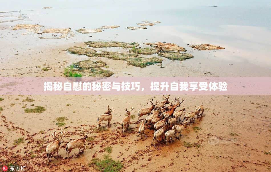 揭秘自慰的秘密与技巧，提升自我享受体验
