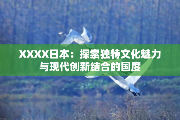 XXXX日本：探索独特文化魅力与现代创新结合的国度