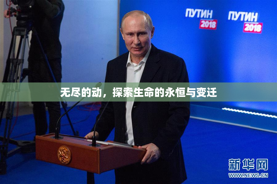 无尽的动，探索生命的永恒与变迁