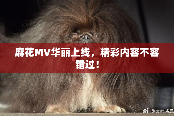 麻花MV华丽上线，精彩内容不容错过！