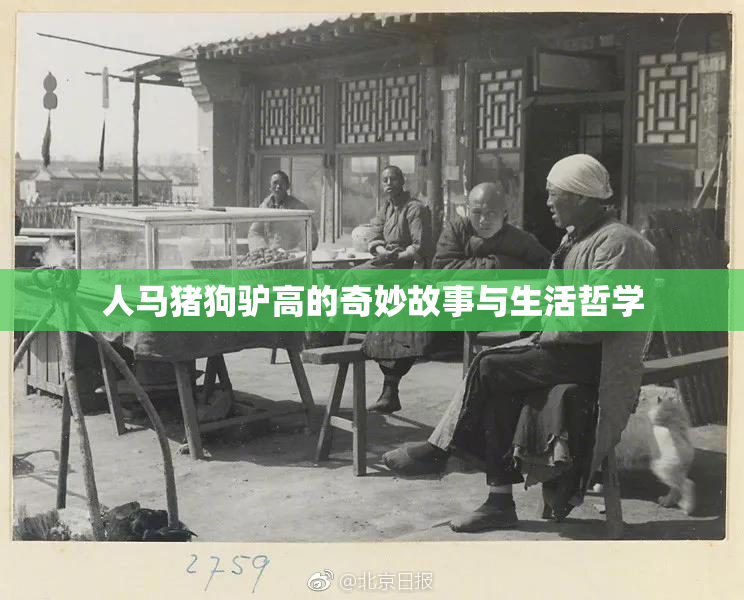 人马猪狗驴高的奇妙故事与生活哲学