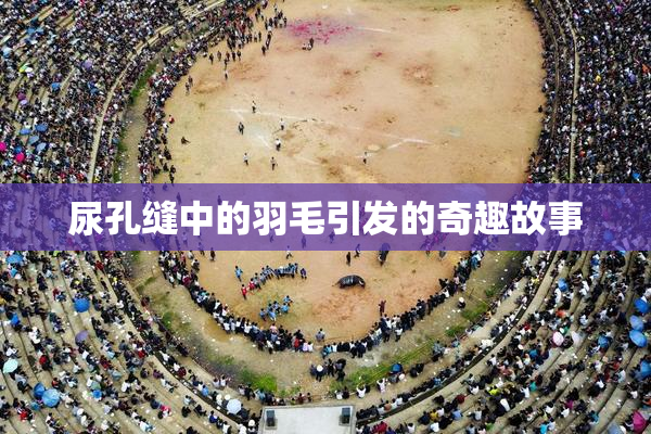尿孔缝中的羽毛引发的奇趣故事