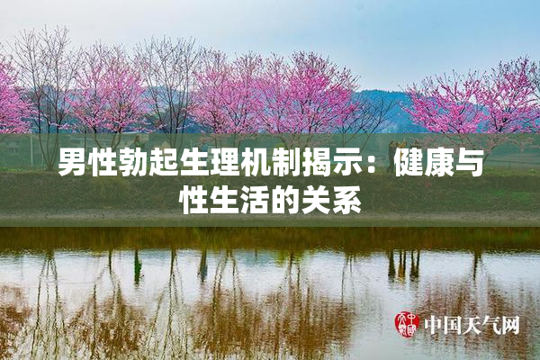 男性勃起生理机制揭示：健康与性生活的关系