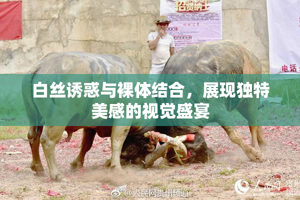 白丝诱惑与裸体结合，展现独特美感的视觉盛宴
