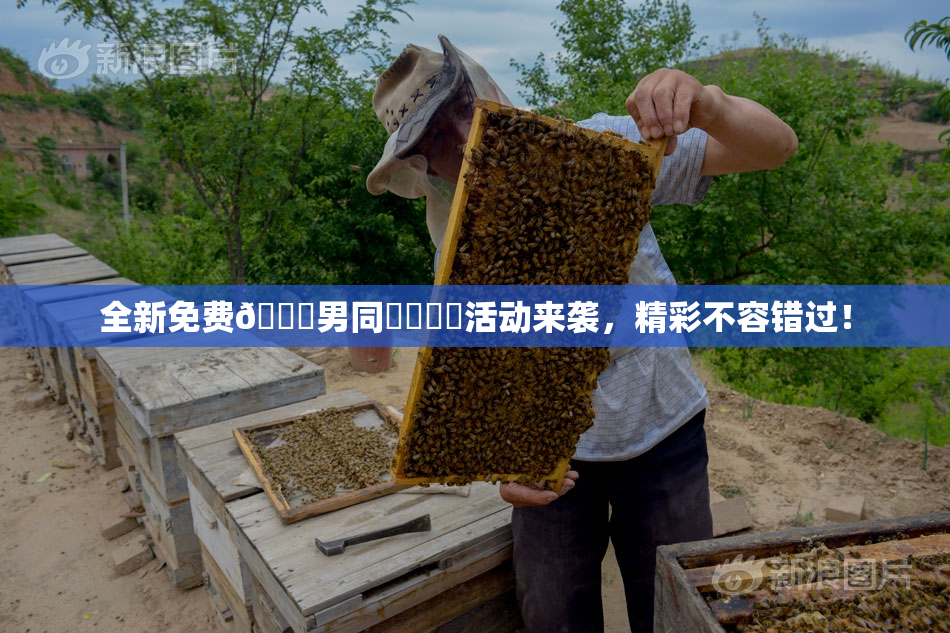 全新免费🔞男同❌‌❌‌活动来袭，精彩不容错过！