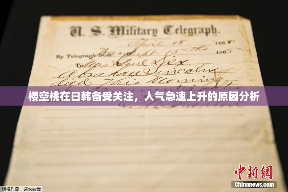 樱空桃在日韩备受关注，人气急速上升的原因分析