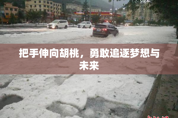 把手伸向胡桃，勇敢追逐梦想与未来