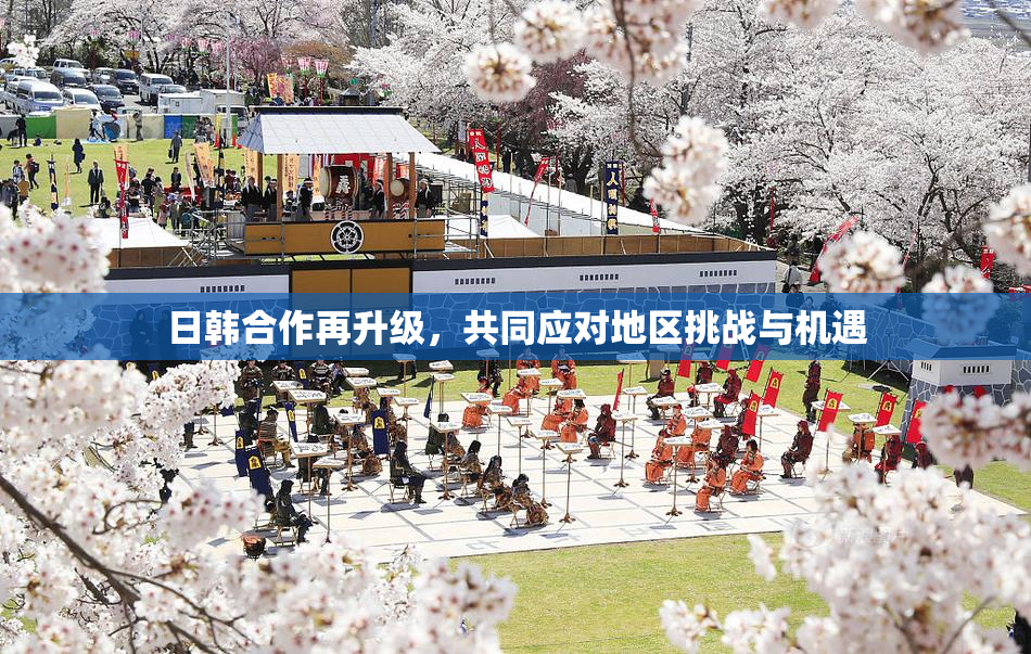 日韩合作再升级，共同应对地区挑战与机遇