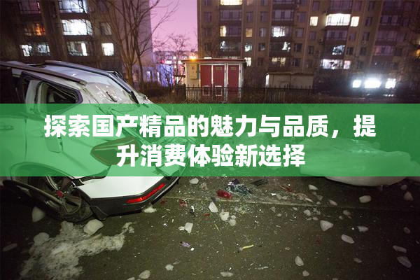 探索国产精品的魅力与品质，提升消费体验新选择