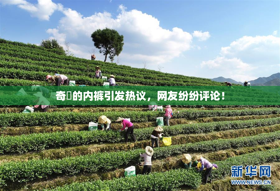 奇犽的内裤引发热议，网友纷纷评论！