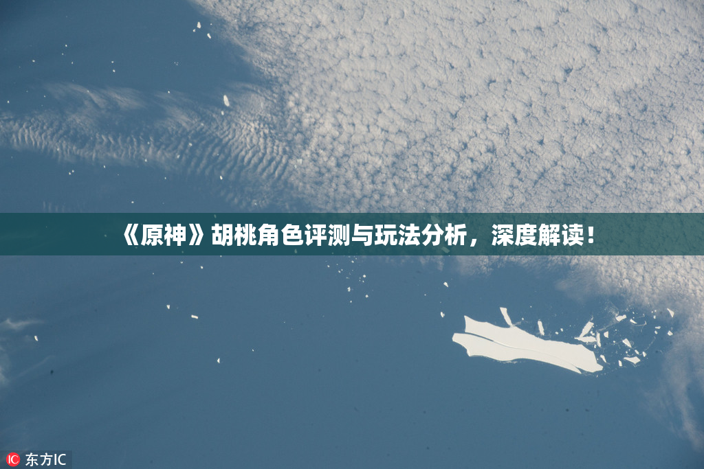 《原神》胡桃角色评测与玩法分析，深度解读！