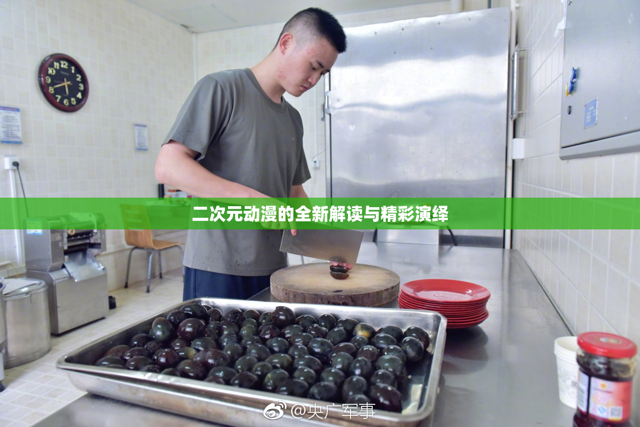 二次元动漫的全新解读与精彩演绎