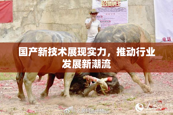 国产新技术展现实力，推动行业发展新潮流
