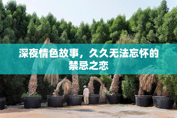 深夜情色故事，久久无法忘怀的禁忌之恋