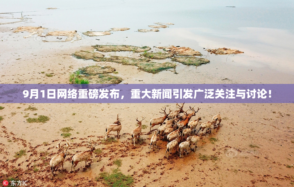 9月1日网络重磅发布，重大新闻引发广泛关注与讨论！